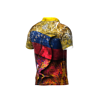 DED Regional DVC Venezuela