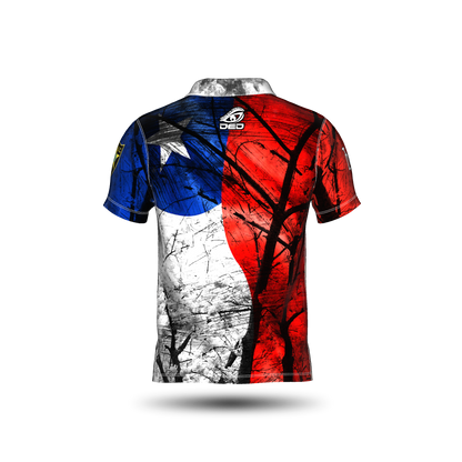 DED Regional DVC Chile