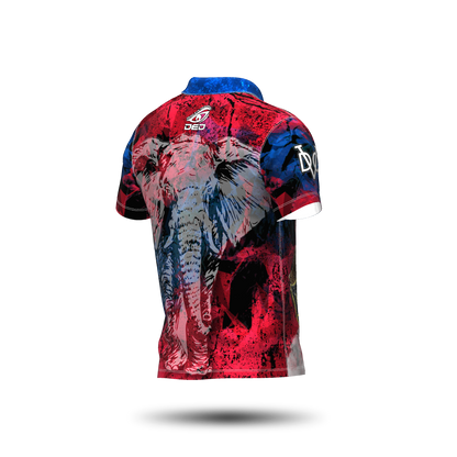 DED Regional DVC Laos