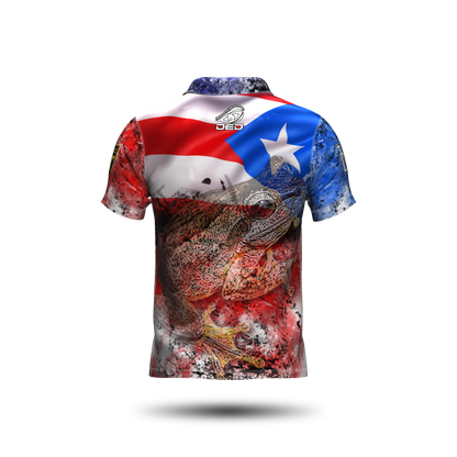 DED Regional DVC Puerto Rico