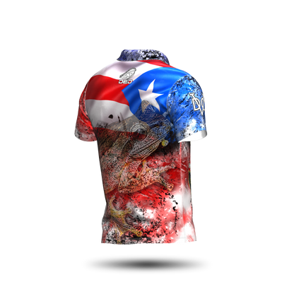 DED Regional DVC Puerto Rico