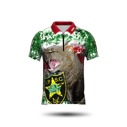 DED Regional DVC Suriname