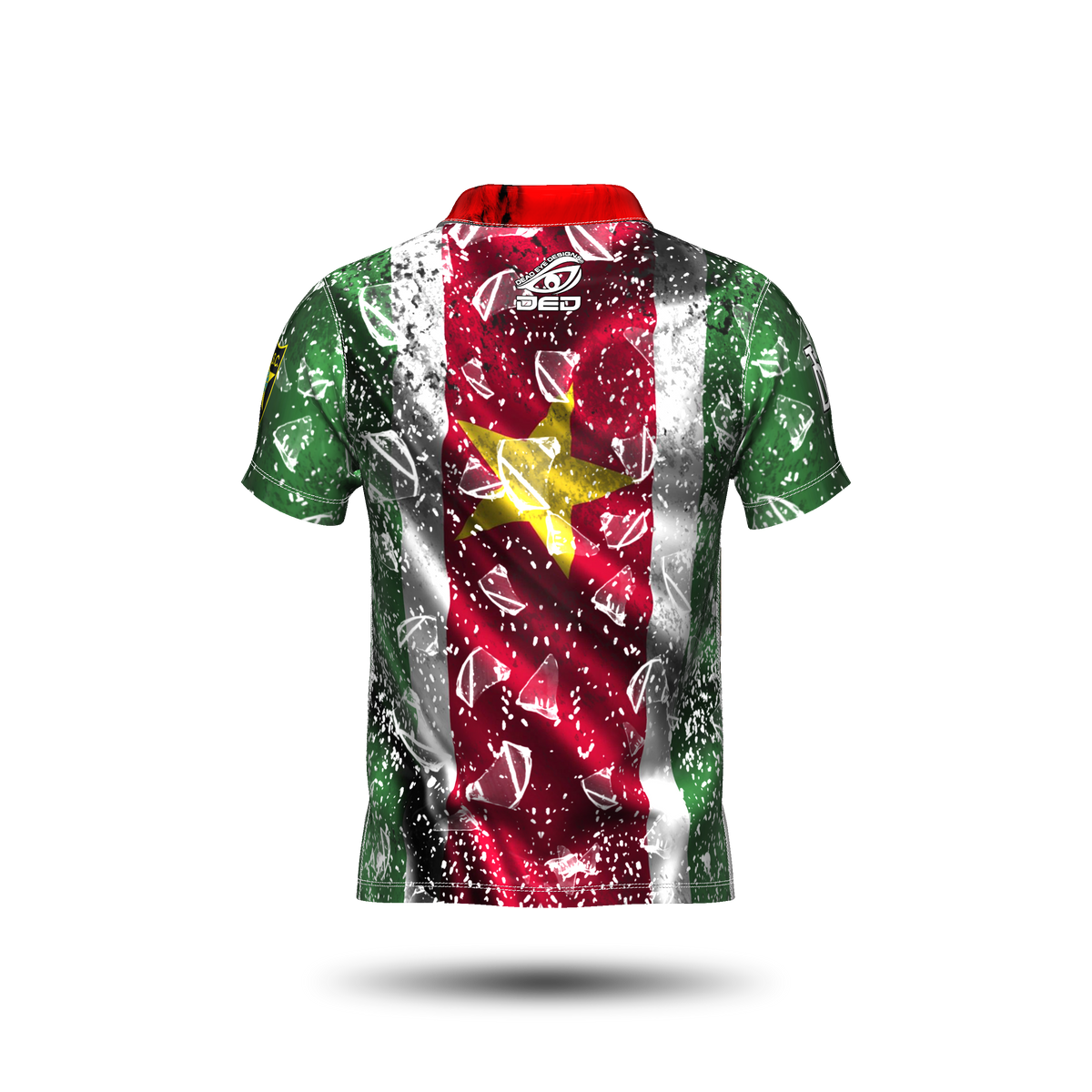 DED Regional DVC Suriname