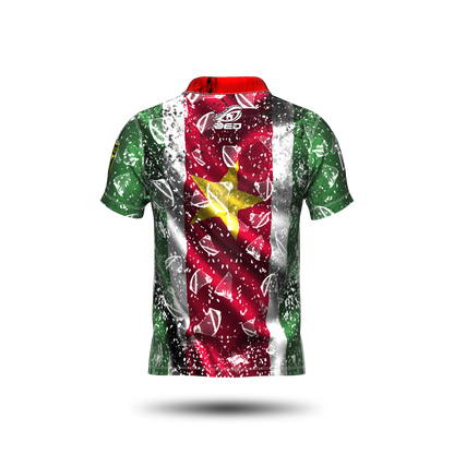 DED Regional DVC Suriname