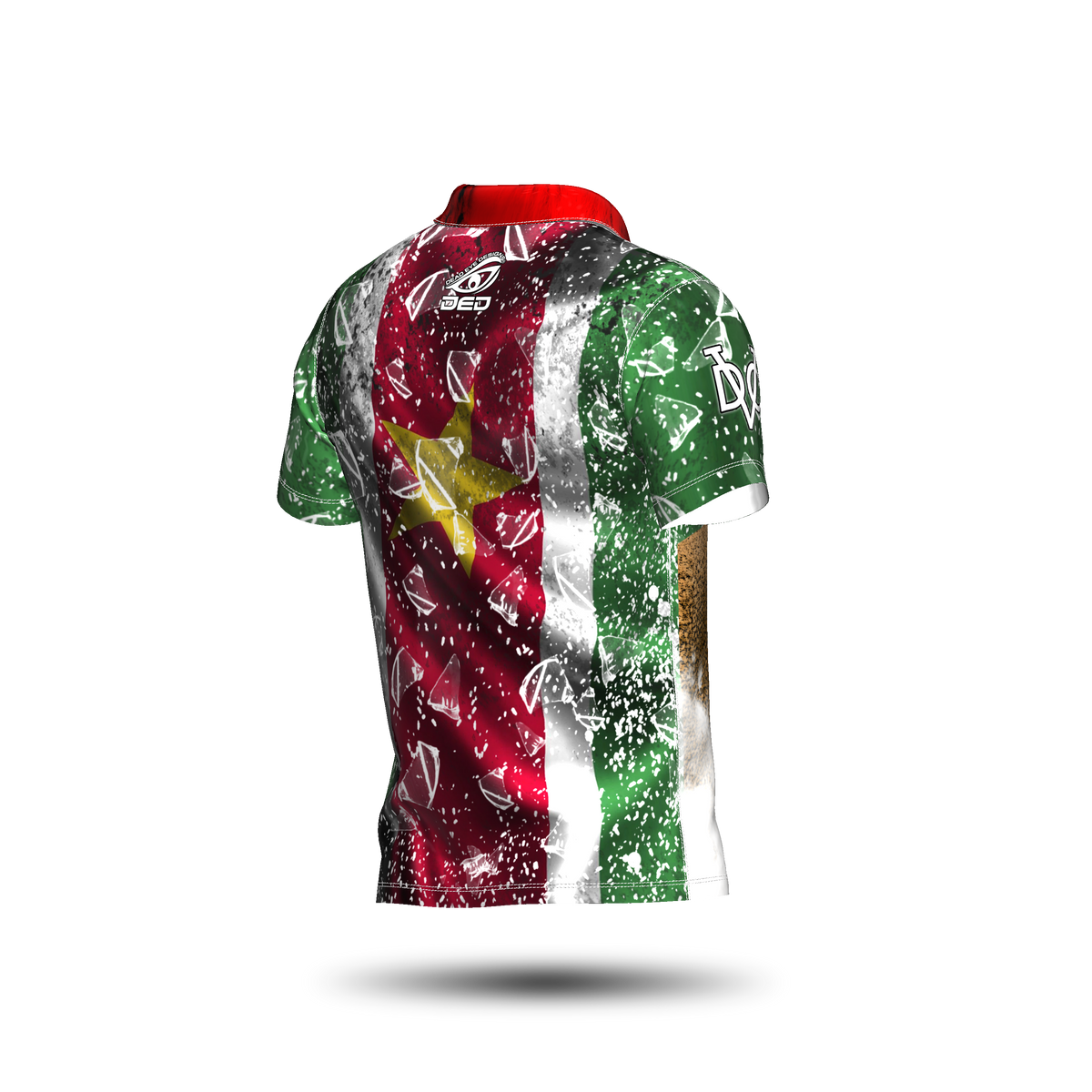 DED Regional DVC Suriname