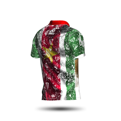 DED Regional DVC Suriname