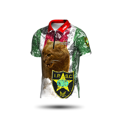 DED Regional DVC Suriname