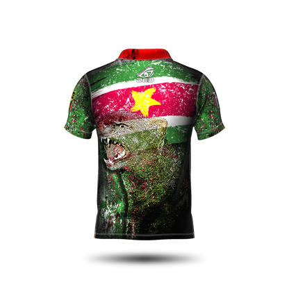 DED Regional DVC Suriname